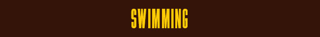 DT Image